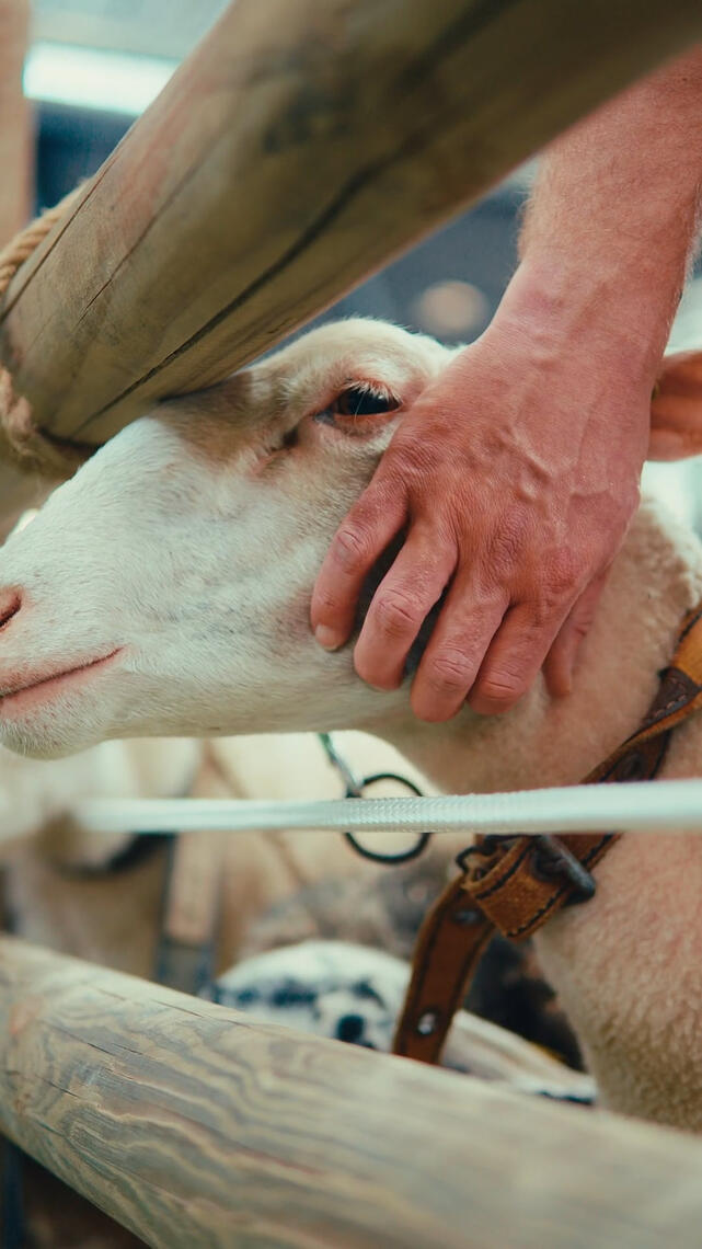 Salon de l'Agriculture